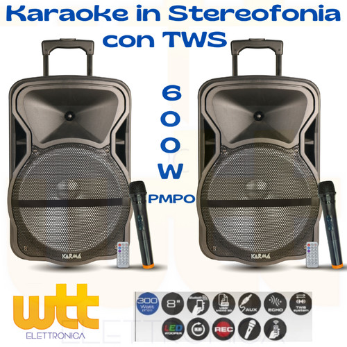 Coppia casse amplificate